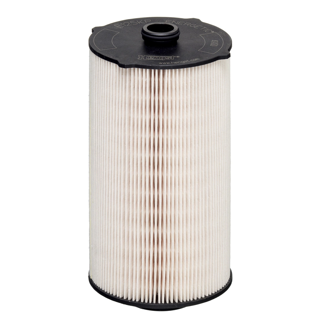 Fuel Filter E125KP D302