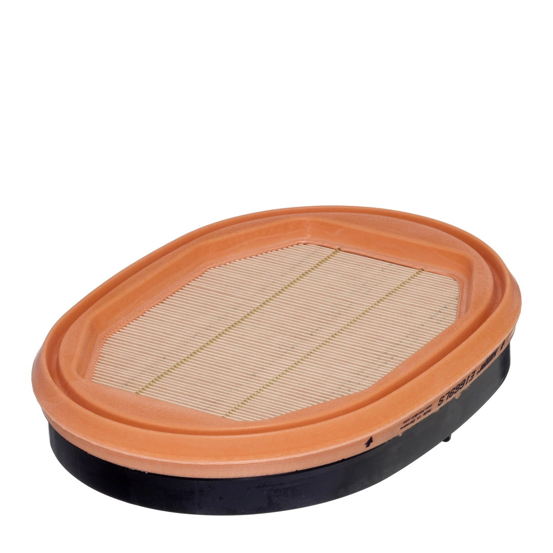 Secondary Air Filter E1669LS