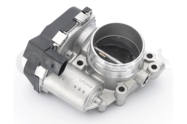 Throttle Body 408-242-002-003Z
