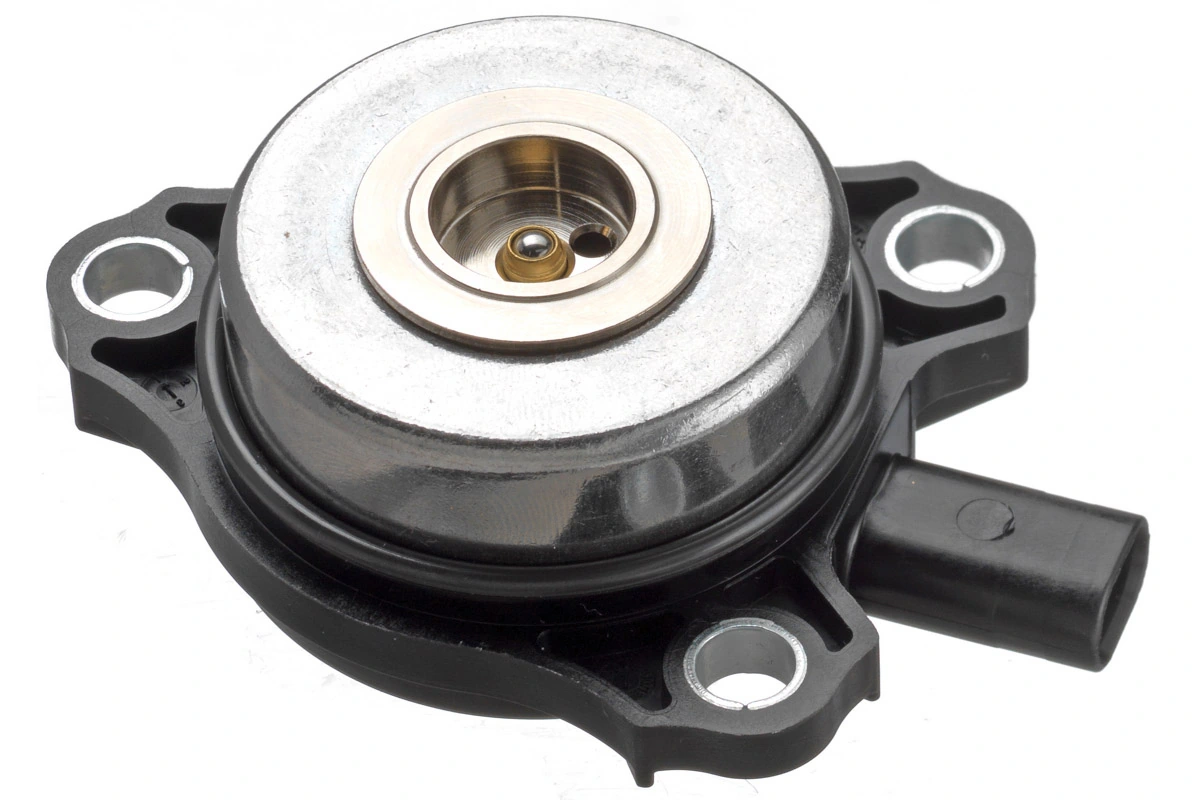 Central Magnet, camshaft adjustment 2800014026180