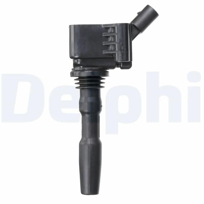 DELPHI GN10631-12B1 Ignition Coil