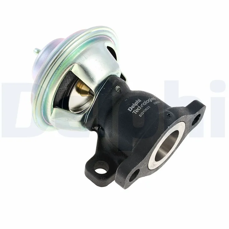 DELPHI EG10623-12B1 EGR Valve