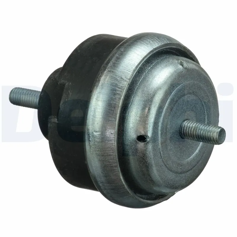 Mounting, engine TEM066