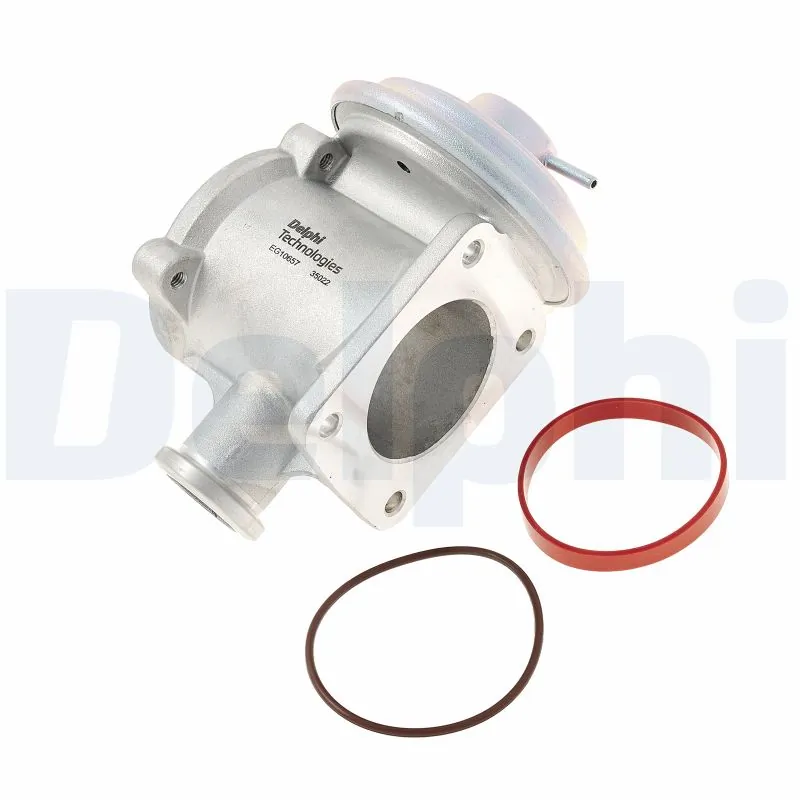 EGR Valve EG10657-12B1