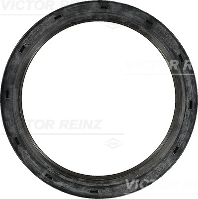 Shaft Seal, crankshaft 81-36228-00