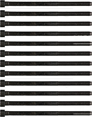 Cylinder Head Bolt Set 14-35779-01