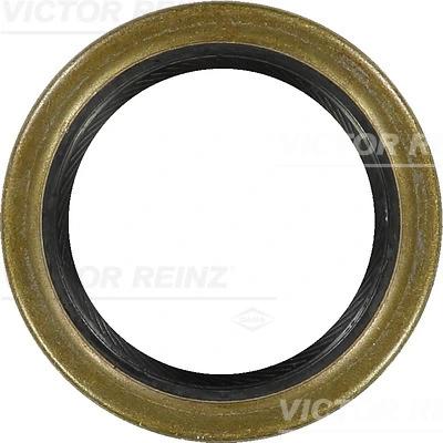 Shaft Seal, crankshaft 81-21087-10