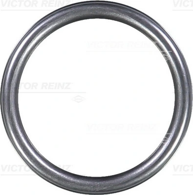 Seal Ring 40-76313-10