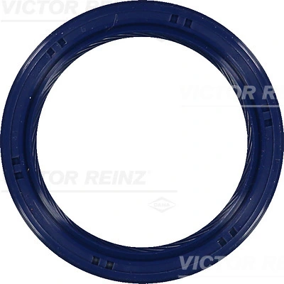 Shaft Seal, crankshaft 81-53699-00
