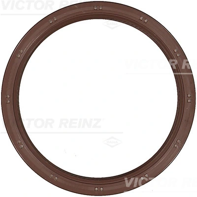 Shaft Seal, crankshaft 81-53322-10