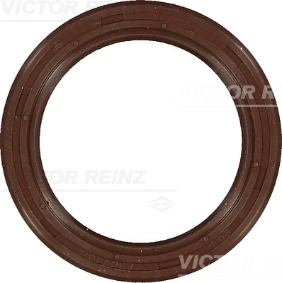 Shaft Seal, crankshaft 81-53254-00