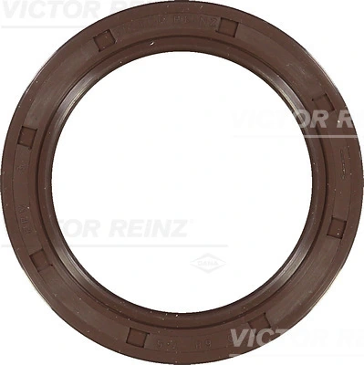 Shaft Seal, crankshaft 81-36231-00