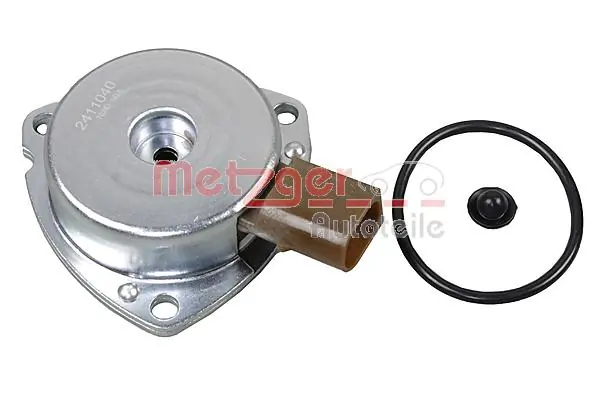 Central Magnet, camshaft adjustment 2411040