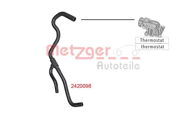Radiator Hose 2420098
