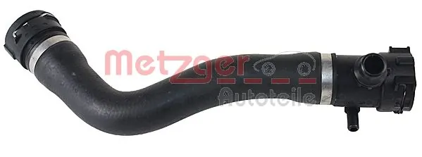 Radiator Hose 2420604