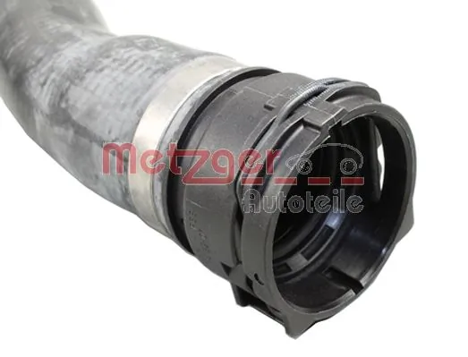 Radiator Hose 2420822