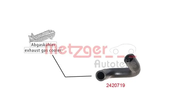 Radiator Hose 2420719