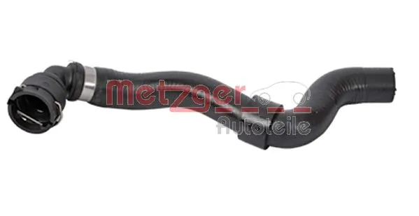 Radiator Hose 2420097