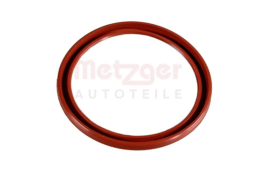 Segel 2430092