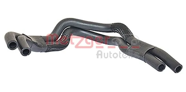 Radiator Hose 2420396