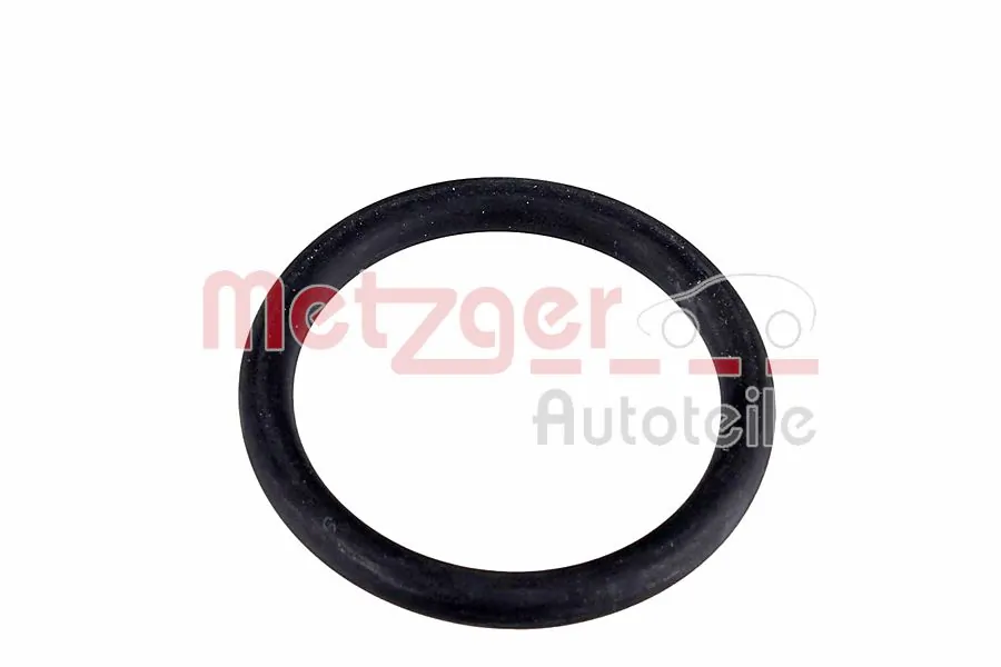Seal Ring 2430156