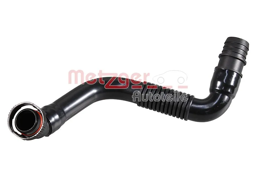 Hose, cylinder head cover ventilation 2380190