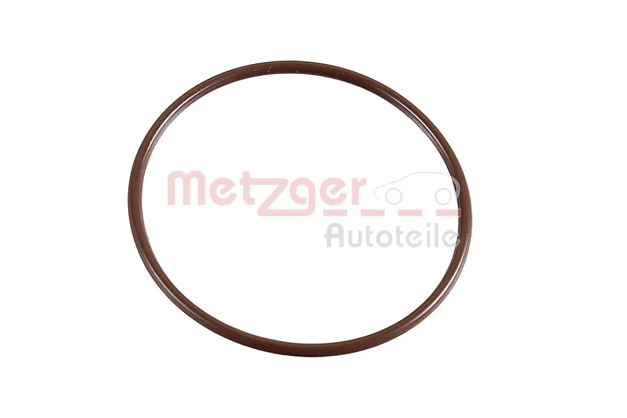 Gasket, EGR valve 2430097
