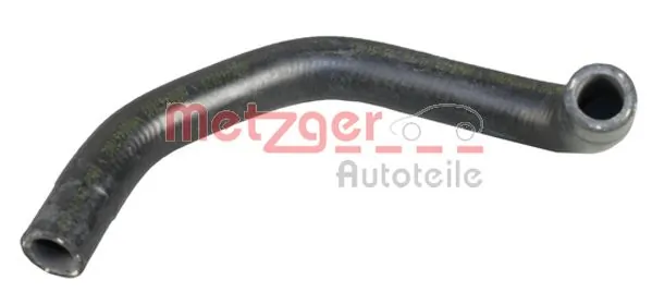 Radiator Hose 2420815