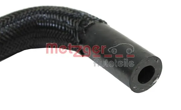 Radiator Hose 2420213