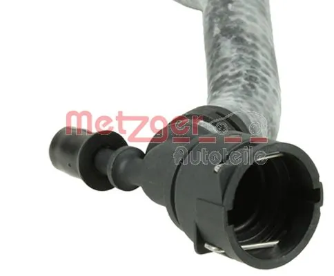 Radiator Hose 2420789