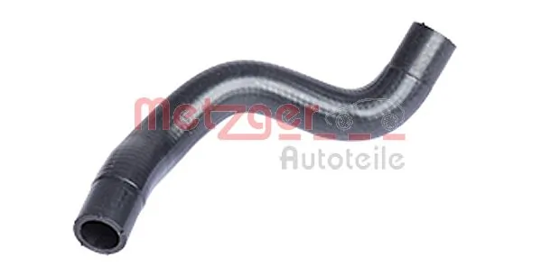 Radiator Hose 2420051
