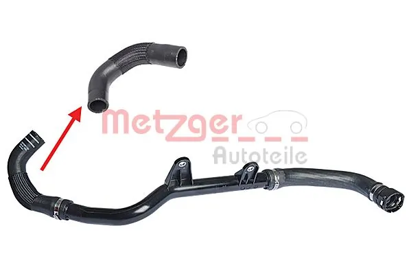 Radiator Hose 2420353