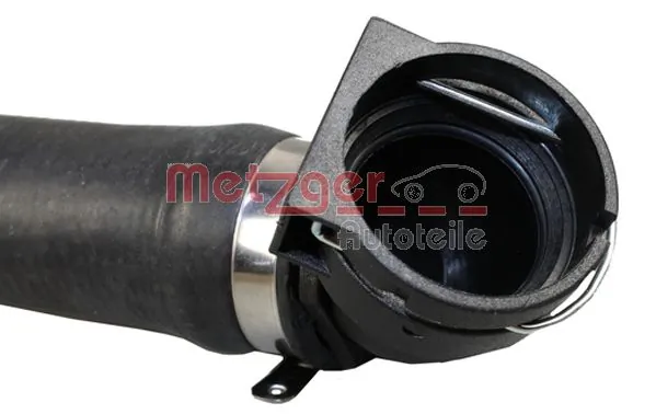 Radiator Hose 2420598