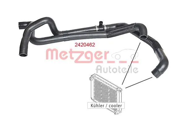 Radiator Hose 2420462