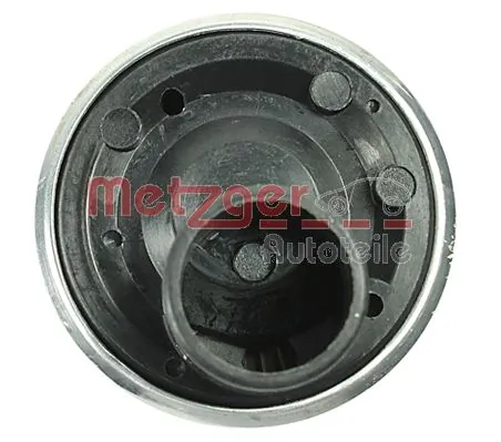 Fuel Pump 2250073