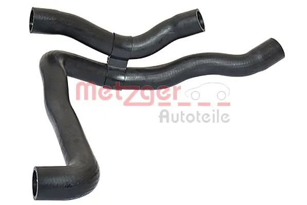 Radiator Hose 2420472