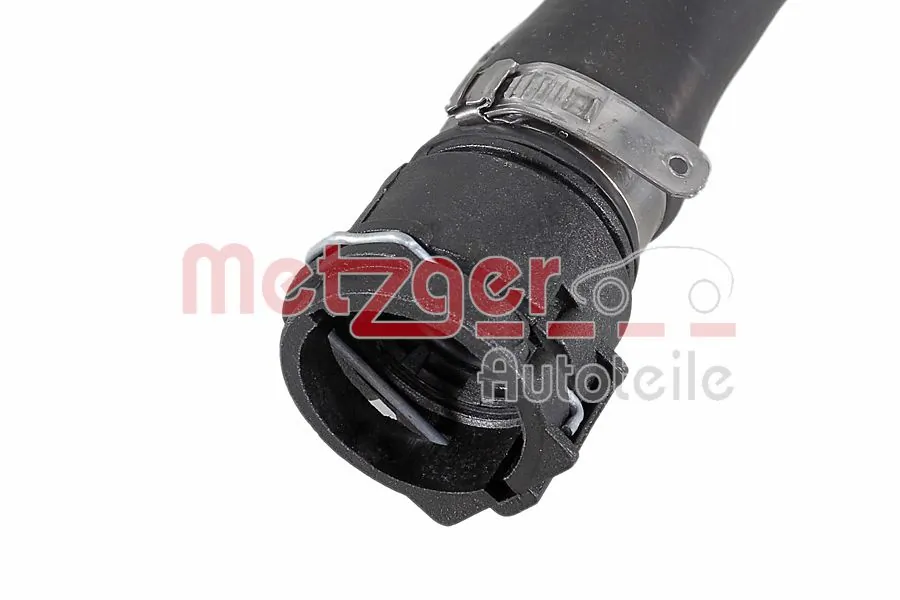 Radiator Hose 2421755