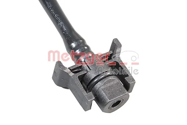 Radiator Hose 2421494