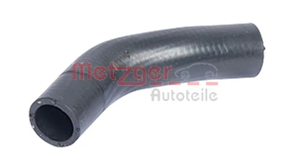 Radiator Hose 2420437