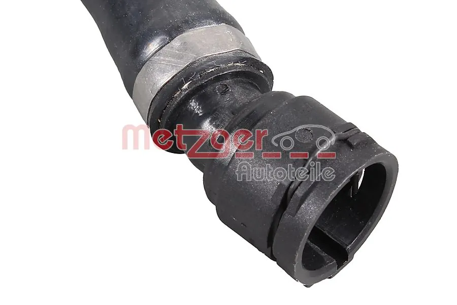 Radiator Hose 2422018