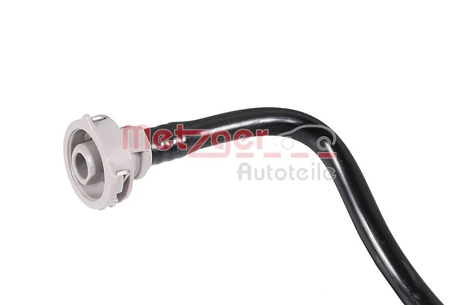 Radiator Hose 2422013