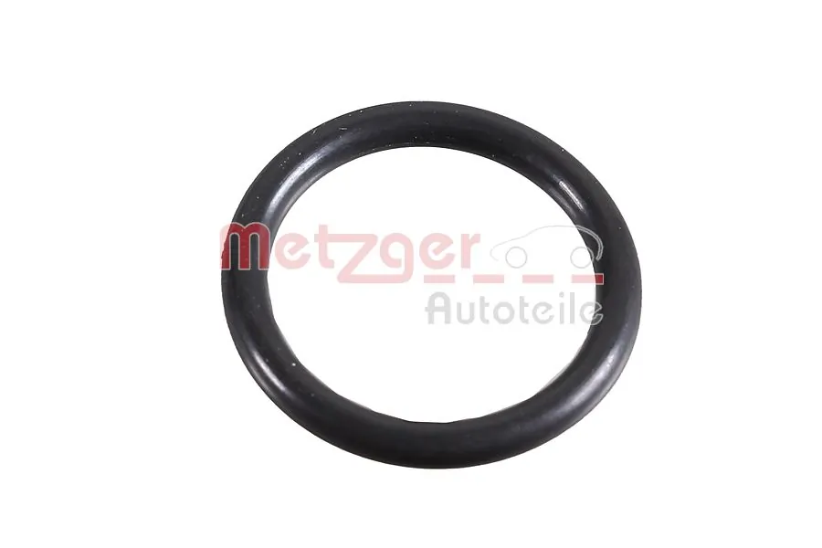 Seal Ring 2430041