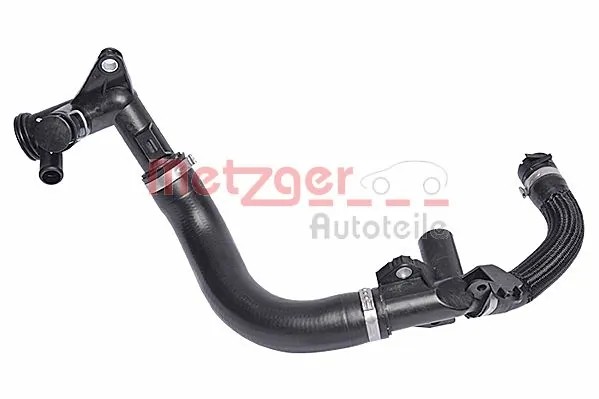 Radiator Hose 2420223