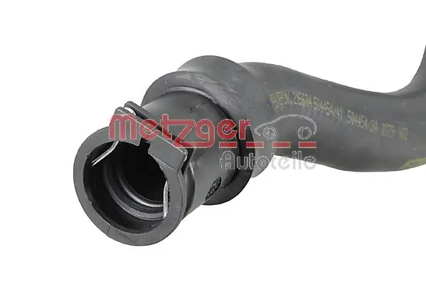 Radiator Hose 2421229