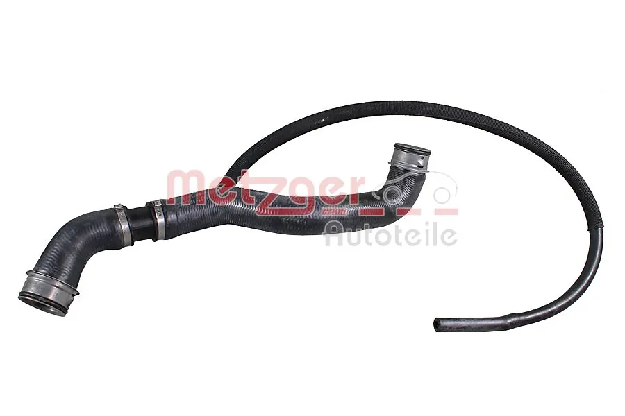 Radiator Hose 2421854
