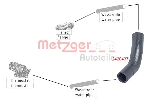 Radiator Hose 2420437
