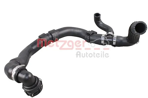 Radiator Hose 2420857
