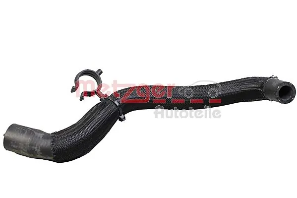 Radiator Hose 2421455
