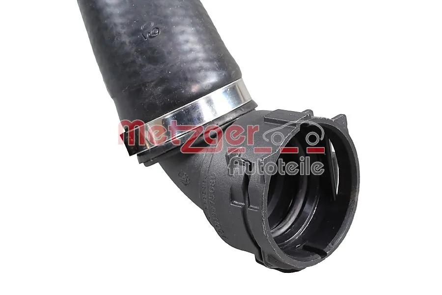 Radiator Hose 2421790