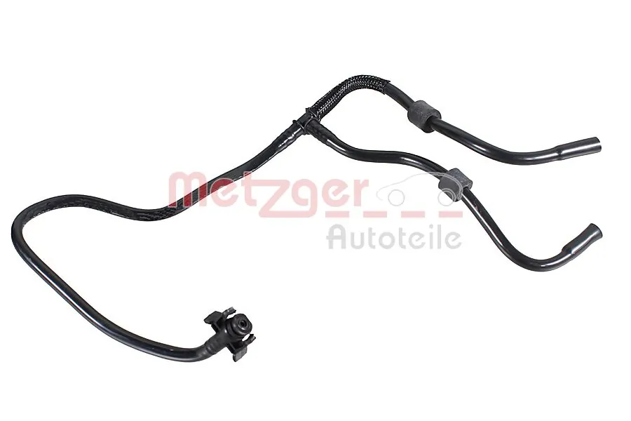 Radiator Hose 2421907